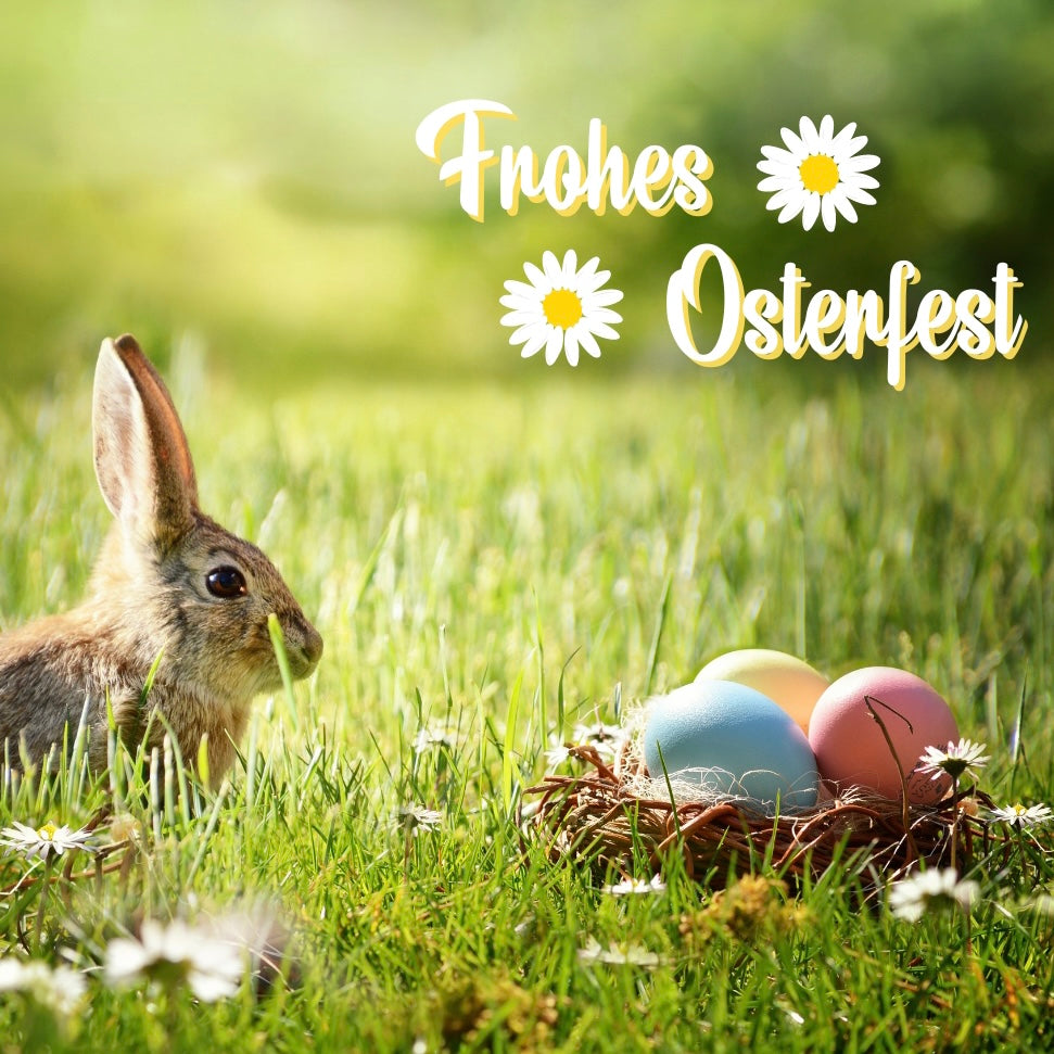 "Frohes Osterfest" German Easter card with bunny