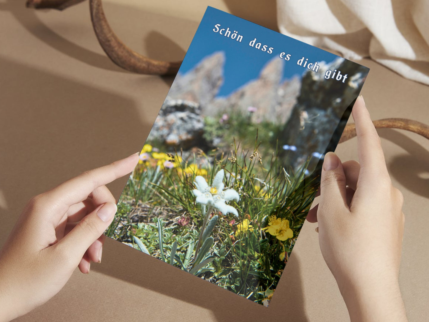 German greeting card with Edelweiss in the Alps