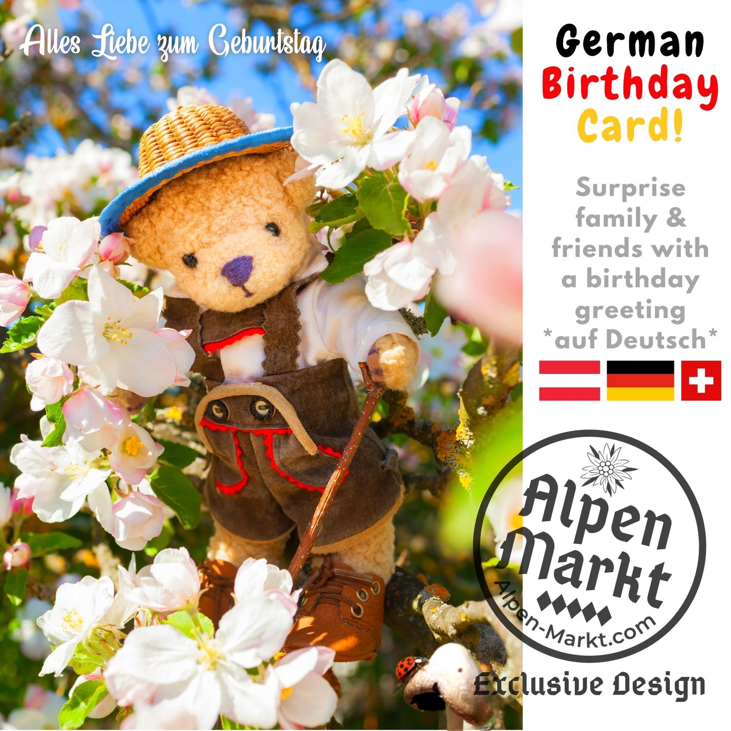 Teddy Bear with Lederhosen German Birthday "Geburtstag" Greeting Card